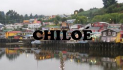 1chiloe1