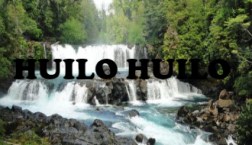 1huilohuilo1