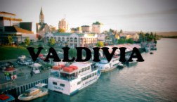 1valdivia1