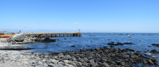 p caleta san agustin