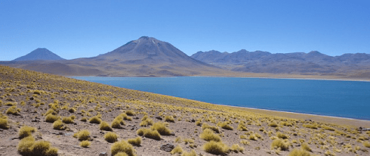 p lagunas altiplanicas