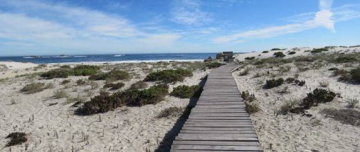 p pn llanos de challe