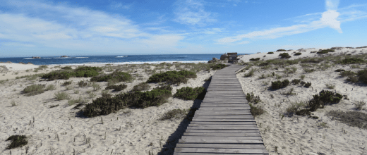 parque nacional llanos de challe