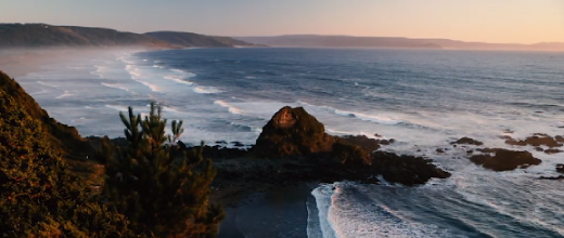 p reserva punta curiñanco