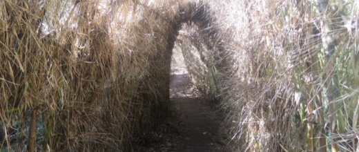 p sendero salto el puma