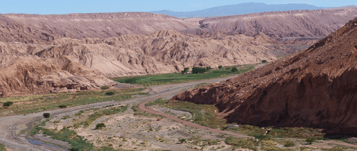 p vista pukara quitor