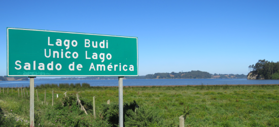 principal costa araucania