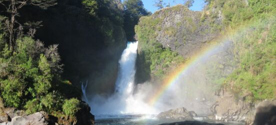 principal huilo huilo