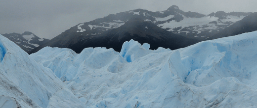 p glaciar leones