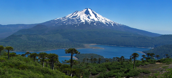 principal pn conguillio