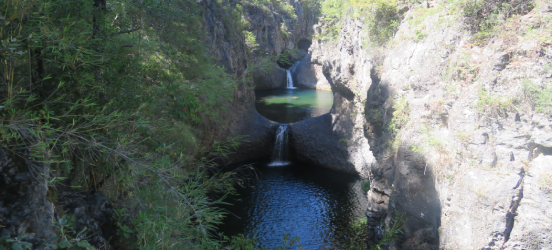 principal pn radal siete tazas