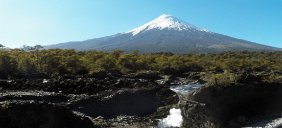principal pn vicente perez rosales