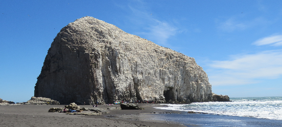 principal constitucion