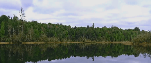 laguna espejo parque nacional puyehue