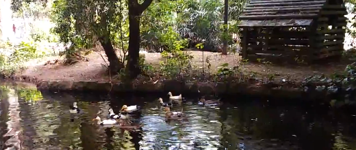 parque estadio german becker