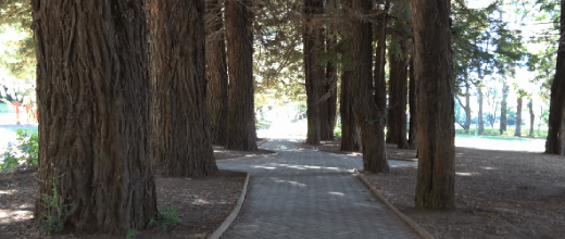 parque iv centenario