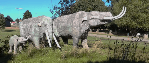 parque pleistocenico