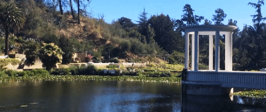 jardin botanico nacional