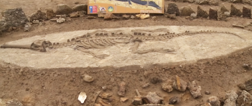 parque paleontologico los dedos