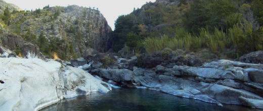 reserva nacional nuble