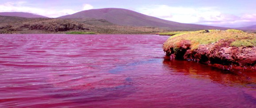 laguna roja