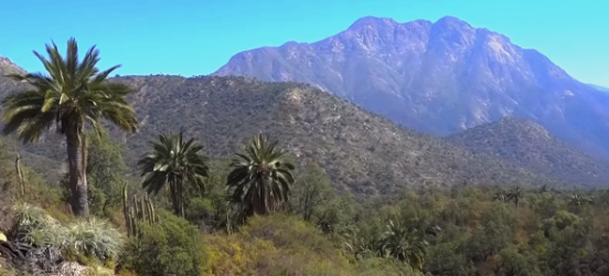 parque-nacional-la-campana-viaje-x-chile