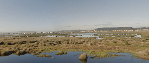 humedal rocuant-andalien