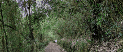 monumento natural cerro nielol