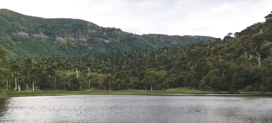 parque nacional tolhuaca