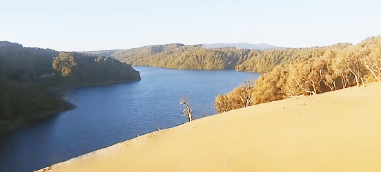 reserva costera valdiviana