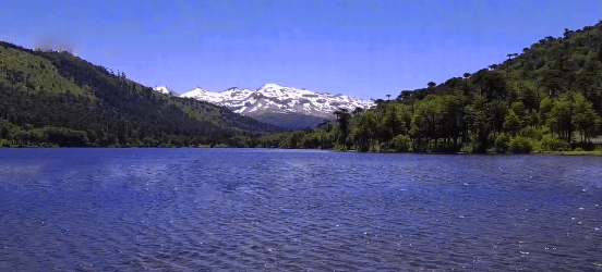 reserva nacional hualalafquen