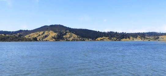 reserva nacional laguna torca