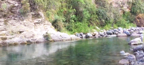 reserva nacional los bellotos del melado