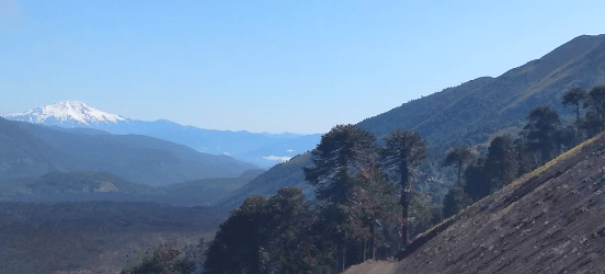 reserva nacional nalcas