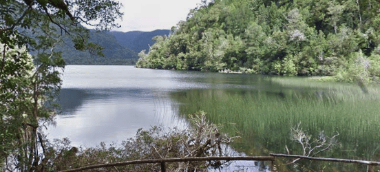 parque nacional alerce andino