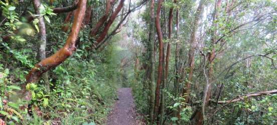 parque nacional chiloe