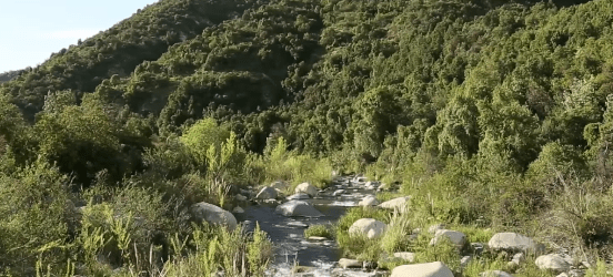 parque nacional rio clarillo