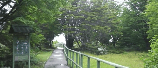 reserva nacional magallanes