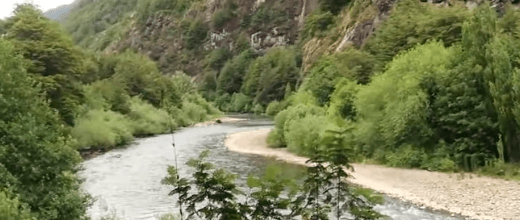 reserva nacional rio simpson