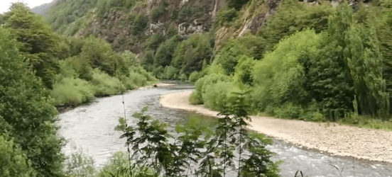 reserva nacional rio simpson